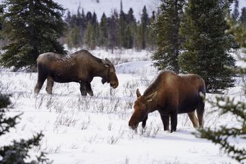 Land view from property