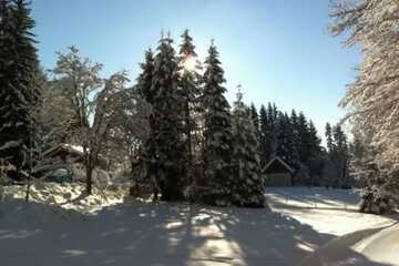 Sledding