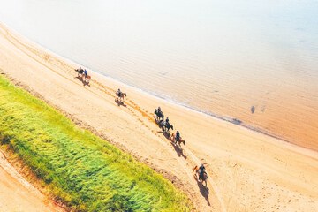 Horseback riding