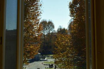 Photo 49