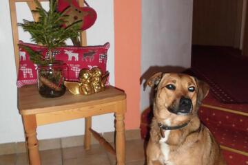 Photo 34