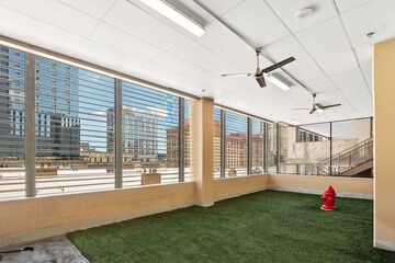 Pet-friendly amenities