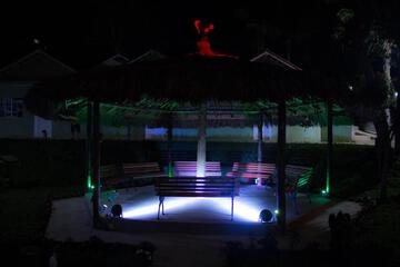 Photo 49