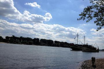 Photo 52