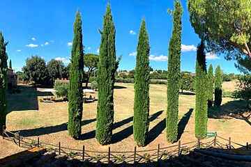 Photo 36