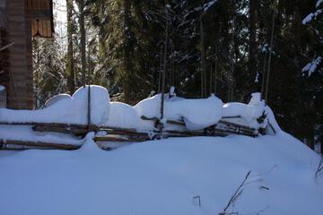 Photo 51