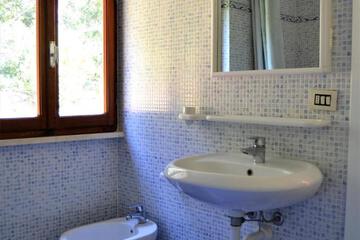 Photo 49