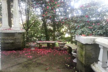 Terrace/Patio 45 of 50