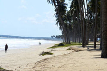 Beach or Ocean View