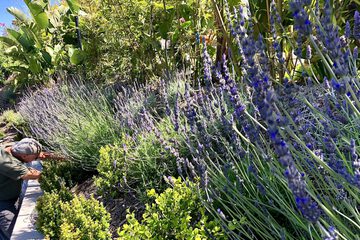 Hotel Exterior 107 of 112