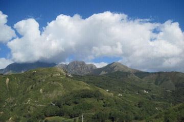 Photo 39