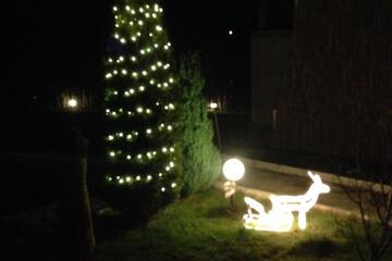 Photo 26