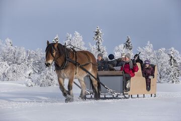Horseback riding