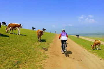 Bicycling