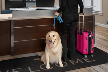 Check-in/check-out kiosk