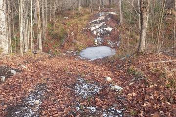 Hiking