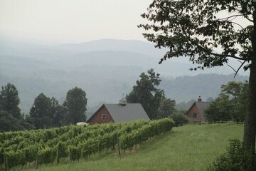 Winery