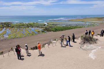 Ecotours