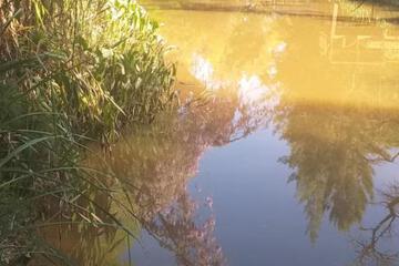 Photo 47