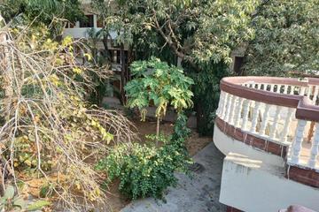 Photo 43