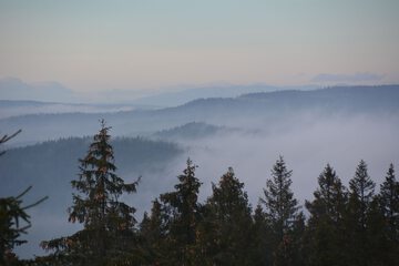 Mountain view