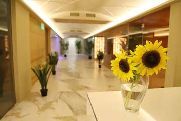 Spa reception