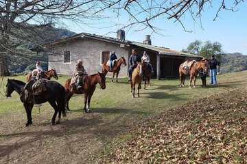 Horseback riding