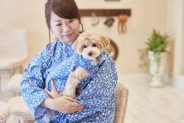Pet-friendly