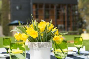 Outdoor wedding area