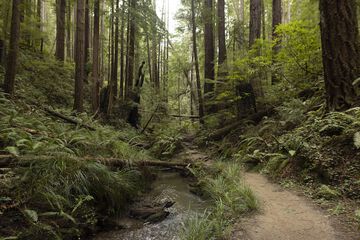 Hiking