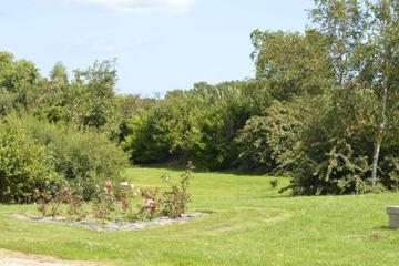 Photo 30