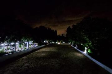 Photo 38