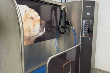 Pet-friendly amenities