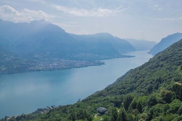 Lake view