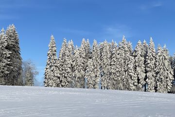 Land view from property