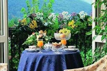 Terrace or Patio