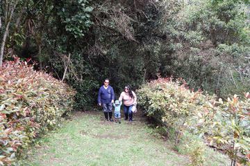 Hiking