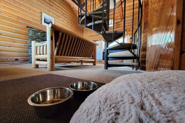 Pet-friendly amenities