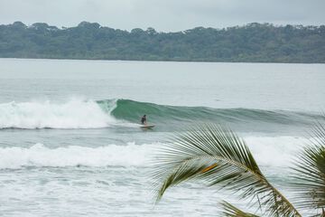 Surfing/boogie boarding