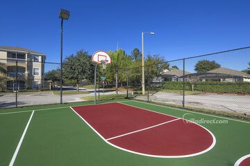 Basketball court