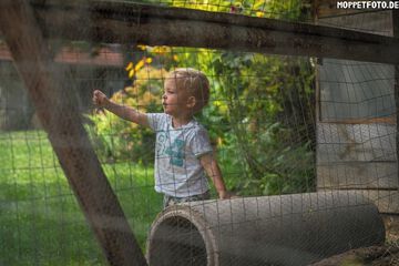 Children's activities