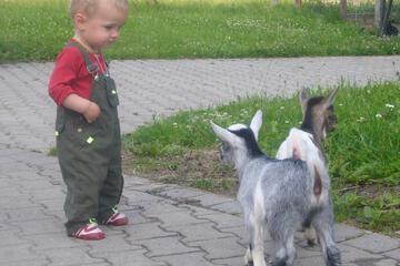 Photo 44