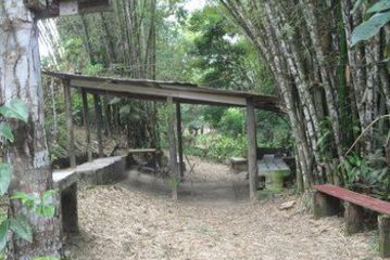 Childrens Activities