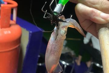 Fishing