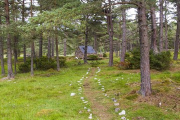 Photo 17