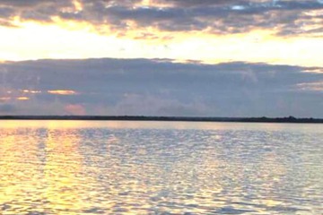 Dock