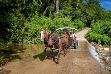 Horseback riding
