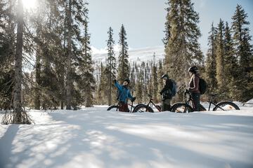Bicycling