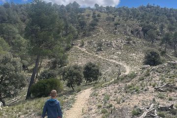 Hiking