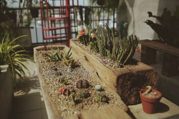 Rooftop terrace
